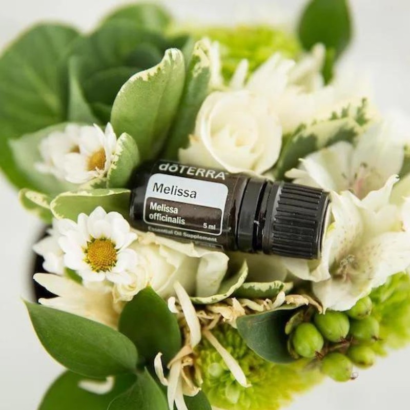 doterra marjoram aetherisches oel