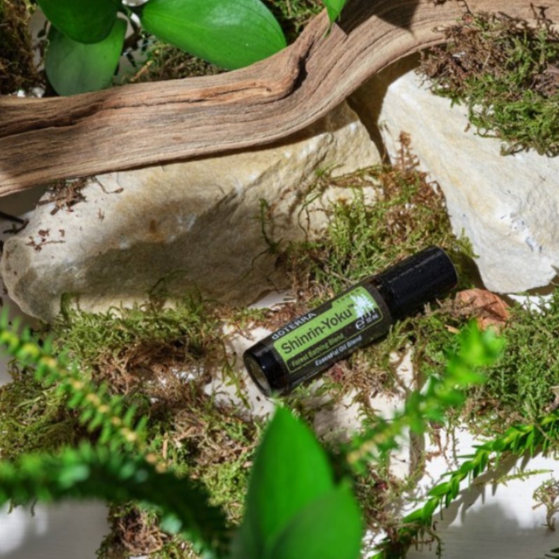 doTERRA Shinrin-Yoku Touch - Waldbaden-Mischung