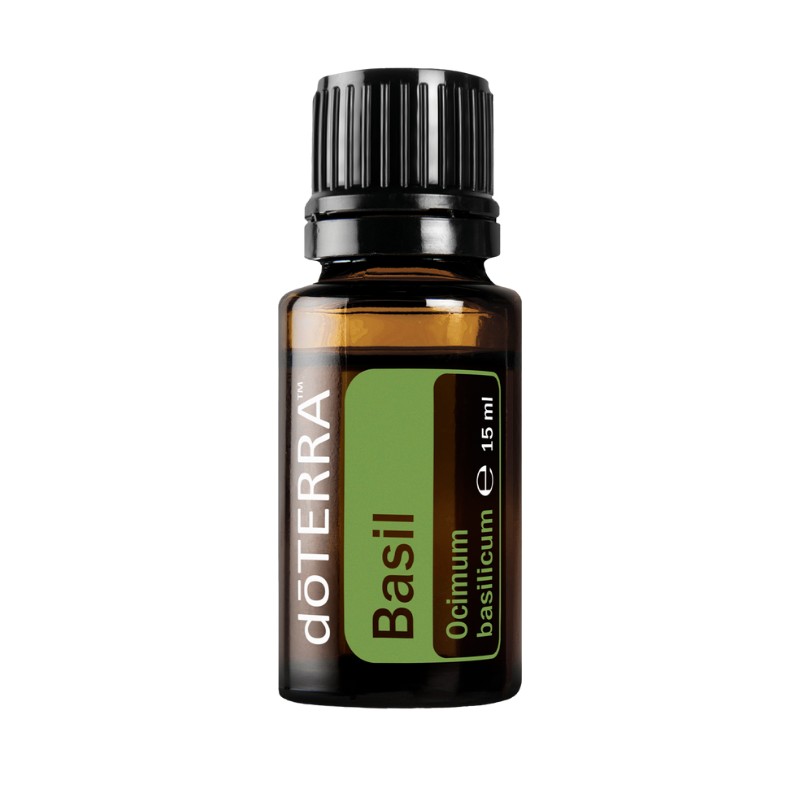 doTERRA Basilikum