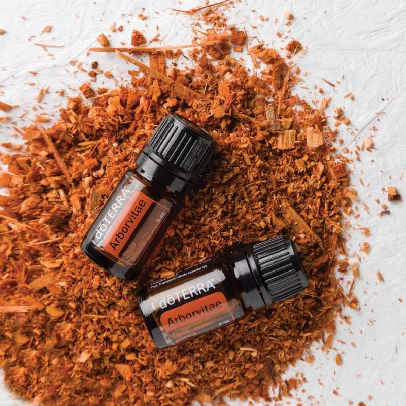 doTERRA Arborvitae 2