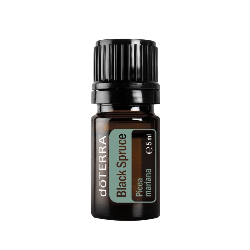 doTERRA Black Spruce